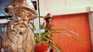Fotografie z fotogalerie ubytování Hotel Alcayata Popayan v destinaci Popayan
