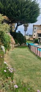 a yard with a tree and a swimming pool at Bella vista al mar y cerca!! in El Quisco