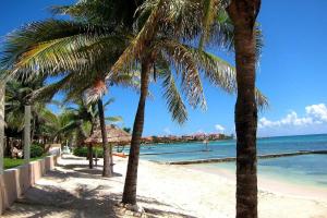 a beach with palm trees and the ocean at Puerto Aventuras Private Terrace and Golf View in Puerto Aventuras