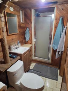 a bathroom with a toilet and a shower and a sink at Cozy Hideaway in Lewiston