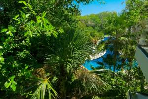 a group of palm trees in front of a waterfall at Puerto Aventuras Private Terrace and Golf View in Puerto Aventuras