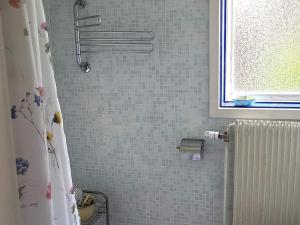 a shower with a shower curtain in a bathroom at Cozy Getaway near Forest and Lake in Insjön