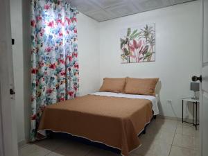 a bedroom with a bed in a room with a curtain at Casa Lilia Airport in Panama City