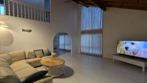 Una sala de estar con un perro blanco en la pantalla del televisor. en Flamingo Sunset Retreat, en Old Bribie