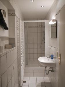 聖哥亞豪森的住宿－Ferienwohnung Späth，白色的浴室设有水槽和淋浴。