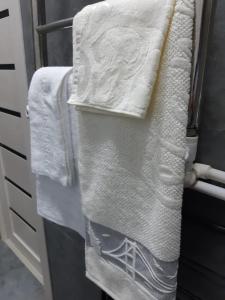 Center-Train Station-Airport في Toshkent-Passajir Bekati: منشفه معلقه على منشفه في المطبخ