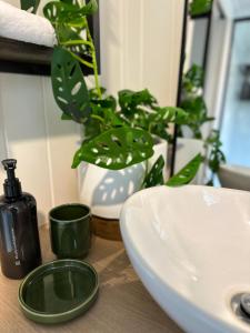 a bathroom counter with a sink and a green plant at Atherton Tiny - Retreat with Fire Pit in Atherton