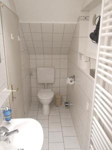 聖哥亞豪森的住宿－Ferienwohnung Späth，一间带卫生间和水槽的小浴室