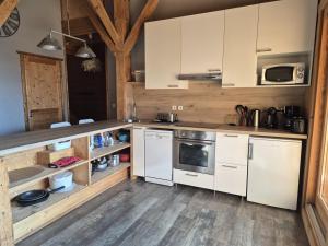 Gallery image of Duplex spacieux avec terrasse sud et animaux admis - FR-1-836-1 in Arâches-la-Frasse