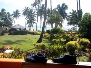 Κήπος έξω από το Ovalau Getaway Resort