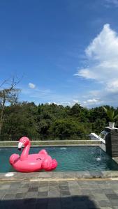 CilamaにあるKintamani Hillsのピンクの白鳥