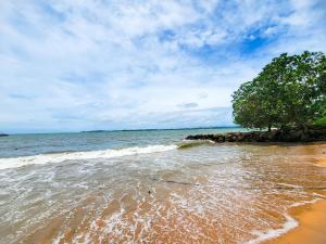 a beach with a tree and the ocean at Sithujaya Green Mirissa in Mirissa +36 photos