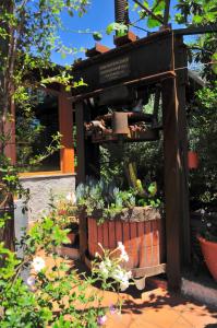 Zahrada ubytování b&b Casa di Antonio_Etna Vacanze