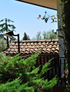 Zahrada ubytování b&b Casa di Antonio_Etna Vacanze