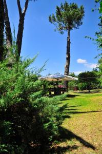 Zahrada ubytování b&b Casa di Antonio_Etna Vacanze