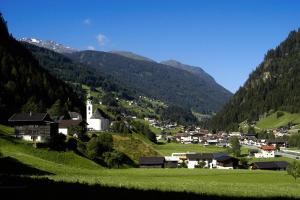 a small village in the mountains with a green field at Haus Lydia in See +32 photos