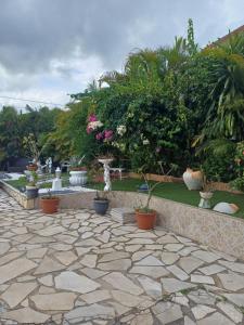 ル・ラモトンにあるCOQUET F2 CLIMATISE AVEC PISCINE AU LAMENTINの鉢植えの植物が植えられた庭園、石造りのパティオ