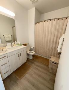 a bathroom with a sink and a toilet and a shower at Spacious Studio Living in Kansas City