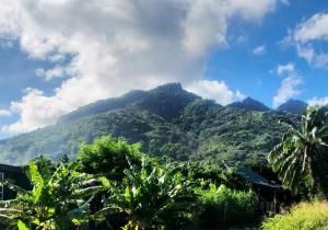 a mountain in the distance with trees in front of it at Mountain Breeze Rarotonga in Rarotonga +15 photos