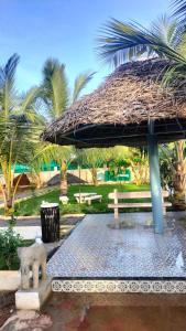 Κήπος έξω από το SVR home stays