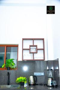 une cuisine avec un comptoir orné de quelques plantes dans l'établissement Serendib villa unawatuna, à Unawatuna