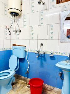 a bathroom with a blue toilet and a sink at Dhanishta Delight in Gangtok
