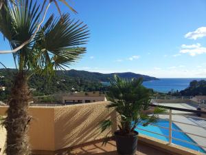 a view of the ocean from a resort with palm trees at Golfe de Saint Tropez Terrasses de Sylvabelle Gigaro in La Croix-Valmer