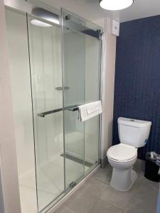 a shower stall in a bathroom with a toilet at Comfort Inn Downtown Charleston in Charleston