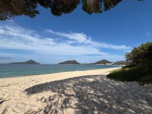 een zandstrand met uitzicht op de oceaan bij Catalina Cove-From Door to Shore in 2 Minutes in Shoal Bay