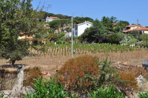 Zahrada ubytování Agriturismo Vaddidulimu