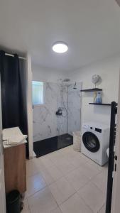 ein Badezimmer mit Dusche und Waschmaschine in der Unterkunft Corse Villa bord de mer in Cervione
