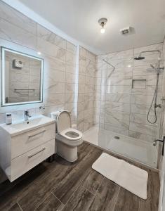 a bathroom with a toilet and a sink and a shower at Brogans Apartment in Trim