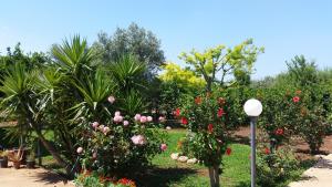 A garden outside Villa Cristina