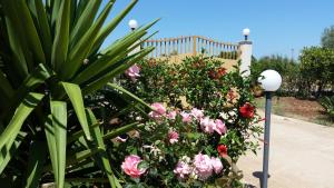 A garden outside Villa Cristina