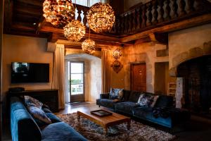 un salon avec un canapé et une cheminée dans l'établissement Château des Girards, à Lans-en-Vercors 4 autres photos