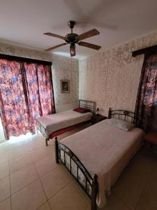 Postel nebo postele na pokoji v ubytování Kalampakas Guesthouse