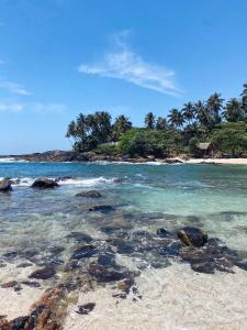 a beach with rocks in the water and palm trees at Baron Nilwella in Dickwella