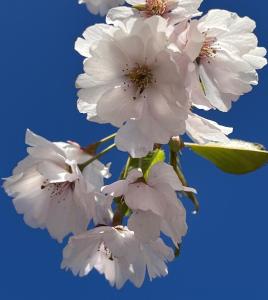 Ảnh trong thư viện ảnh của Jägaregatan 10 ở Tranås