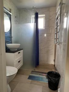 a bathroom with a sink and a toilet and a shower at Jägaregatan 10 in Tranås