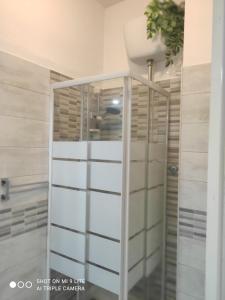 La salle de bains est pourvue d'une douche à l'italienne avec des panneaux en verre. dans l'établissement Casa di Ana 2, à Ancône 36 autres photos