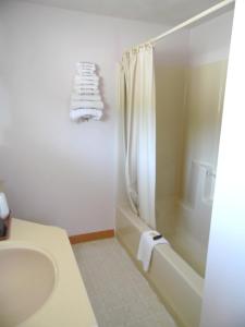 a bathroom with a sink and a shower and a toilet at Redclyffe Shore Motor Inn in Robbinston