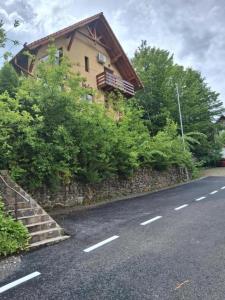 a house sitting on the side of a road at Casa Dora in Sovata