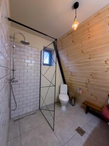 a bathroom with a toilet and a glass shower stall at Macko’s cabin in Băile Tuşnad