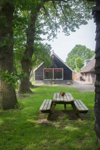 a picnic table in the grass in front of a house at Bed & Breakfast Orvelte in Orvelte