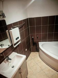 a bathroom with a sink and a bath tub at Studio La grotte Bohème in Lourdes