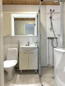 une salle de bain avec un lavabo, des toilettes et un miroir dans l'établissement Moonlight 311 Visit Levi, à Levi