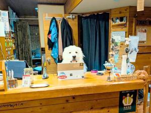 a white dog sitting behind a table with a box at Zao Onsen Lodge Sukore - Vacation STAY 55497v in Yamagata