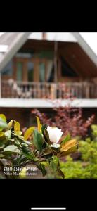 a white flower on a plant in front of a building at Niko Mamasakhlisi Guest House in Ozurgetʼi