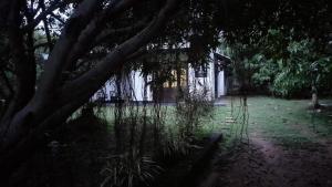 a yard with a house with a tree and a fence at The Trees Dambulla in Dambulla