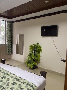 a bedroom with a bed and a tv and a plant at Umda Hotel Galaxy in Dargai